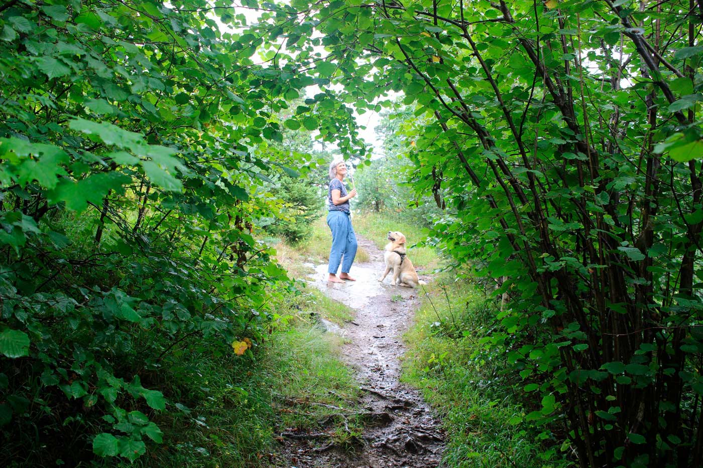 Beispielbild für den Workshop in Begleitung des Hundes Luigi