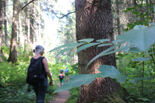 Karin beim Spaziergang im Wald