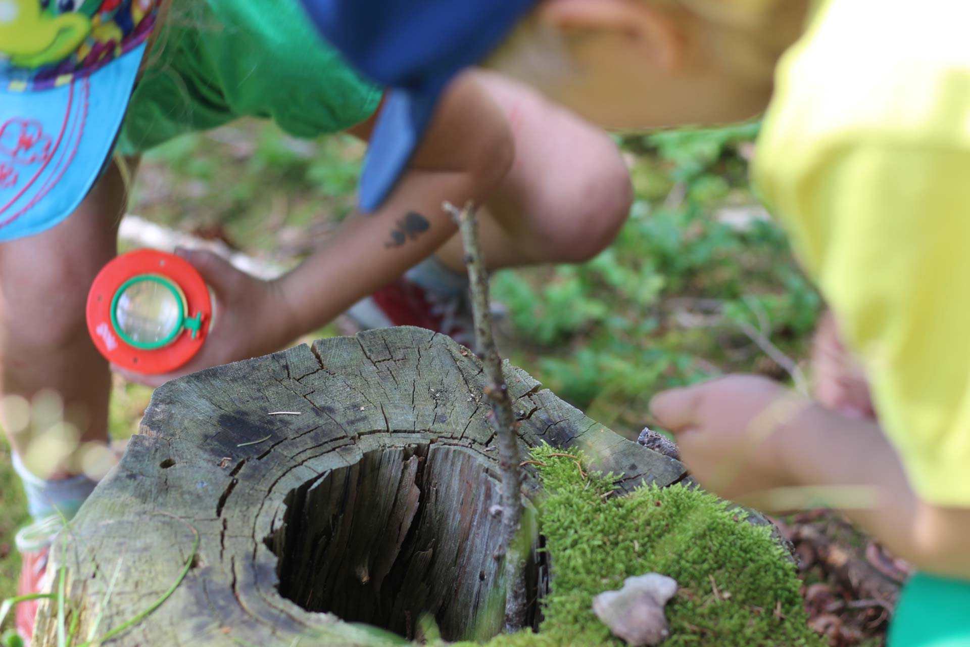 Beispielbild für den Workshop mit Kindern