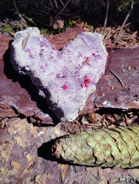 Naturbilder im Osterwald